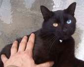 351
