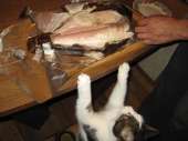 783