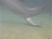 521