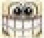 152x132