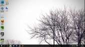 1366x768