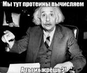 550x469