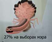 600x482