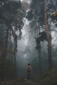 375x562