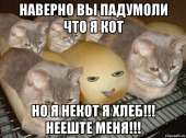 600x447