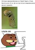 626x892