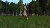640x360