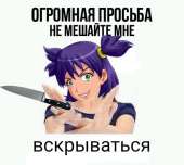 600x538