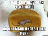 642x479