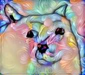 522x458