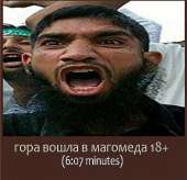 500x484