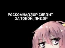 604x453