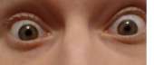 578x245