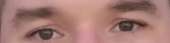 317x81