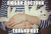 1024x704
