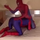 360x360
