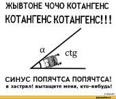 500x429
