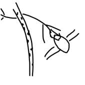 400x400