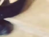 320x240