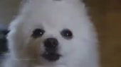400x224