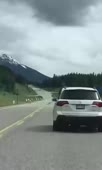 406x676