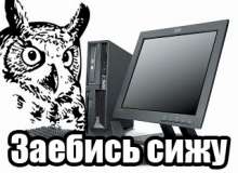 320x233