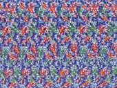 800x601