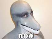 480x363