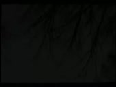 480x360