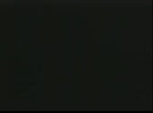 352x262