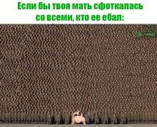 604x490
