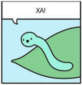197x202