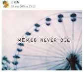 342x293