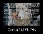 548x439
