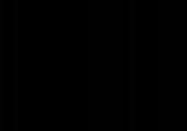 480x338