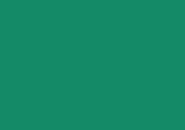 800x567