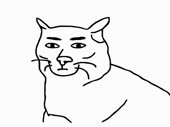 480x360