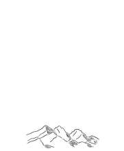 498x604
