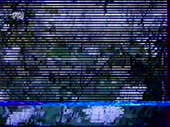 320x240