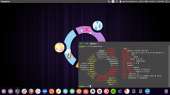 1366x768