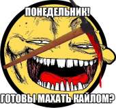 532x495