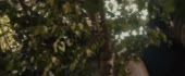 1920x800