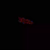 1080x1080