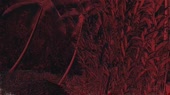 852x480
