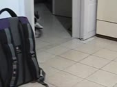480x360