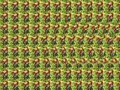 1024x768