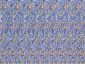 800x604