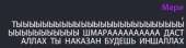 307x81