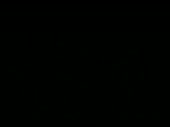 320x240