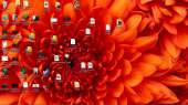 1366x768